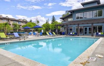 Sparkling pool